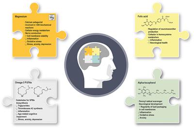 The Impact of Nutrients on Mental Health and Well-Being: Insights From the Literature